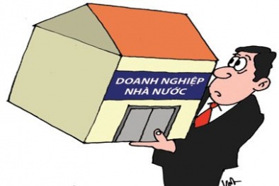 Ưu ái doanh nghiệp nhà nước làm mất đi cơ hội của khu vực tư nhân