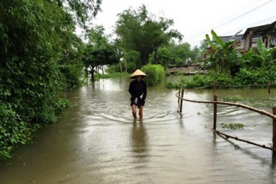 Cần đề phòng lũ lụt sớm bất thường ở Quảng Trị