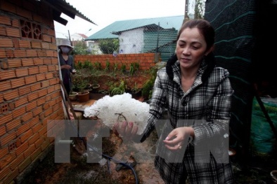 Đắk Nông: Mưa đá cùng lốc xoáy tàn phá nhà cửa, thiệt hại hàng chục tỷ