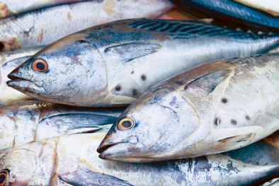 4 người ngộ độc do ăn cá ngừ nhiễm khuẩn