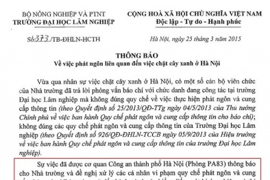 Vụ chặt cây xanh ở Hà Nội: ĐH Lâm nghiệp 'cấm' nhân viên phát ngôn?