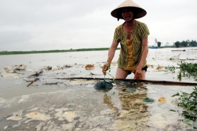 Quảng Nam: Vớt dưa chạy lũ, bé 10 tuổi chết thương tâm