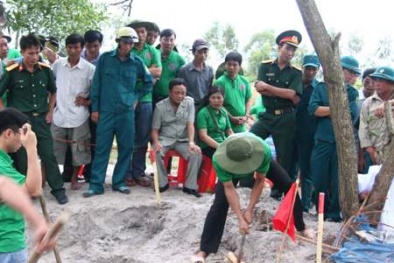 Tin tức pháp luật mới nhất hôm nay ngày 29/3