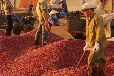 Lotte 'mê' nông nghiệp Việt