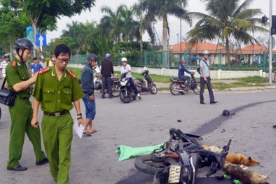 Hai tên trộm chó tự đâm vào xe tải bất tỉnh 