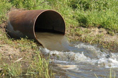 Phát hiện ô nhiễm nguồn nước nhờ băng vệ sinh 