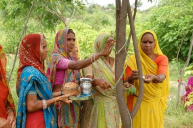 Ngôi làng kỳ lạ cứ sinh con gái là trồng trăm cây