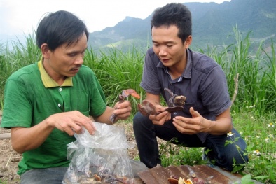 Nhiều ngành nghề ra trường dễ có việc