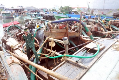 Vũng Tàu: Nổ súng trấn áp vụ khai thác cát lậu quy mô lớn 