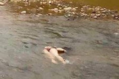 Phát hiện thi thể phụ nữ ở dưới suối, hai tay bị trói chặt