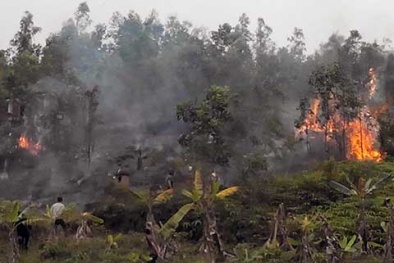 Hải Phòng: Hóa vàng ngày thanh minh, 'hóa' luôn một ngọn đồi