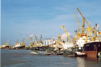 20 hãng tàu lớn nước ngoài sắp bị thanh tra