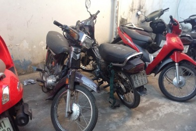Băng tội phạm chuyên tiêu thụ xe gian sa lưới