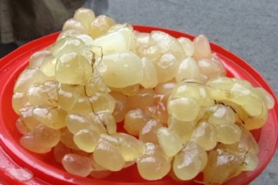 Mỡ trăn, dầu cá không có tác dụng trị bỏng