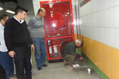 Giải cứu chú mèo bị mắc kẹt trong tường suốt 5 năm