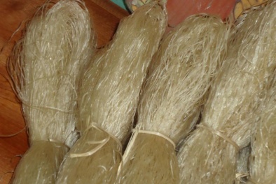 Miến sợi quá dai do chứa nhiều nhôm tiềm ẩn nguy cơ bệnh tật