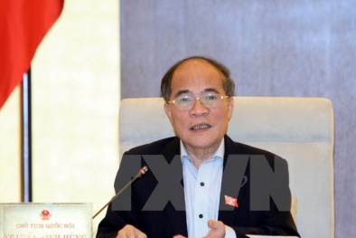 Quy định số lượng cấp phó tại các bộ, ngành căn cứ vào thực tế