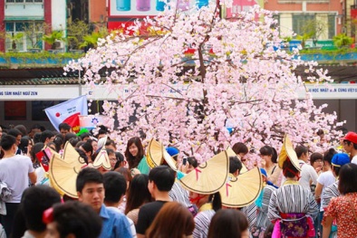 Sắc hoa anh đào và nghệ thuật Nhật Bản tưng bừng tại Hà Nội