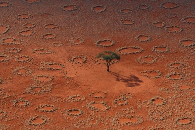 Vòng tròn bí ẩn giữa sa mạc giống tế bào da người?