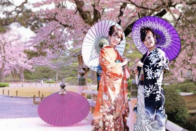 Lạc vào xứ 'mặt trời mọc' với lễ hội hoa anh đào Nhật Bản