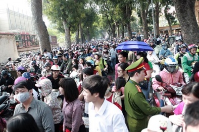 'Bê bối' khó chấp nhận tại lễ hội hoa anh đào Hà Nội 