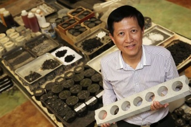 Nâng cao năng suất nhờ công nghệ tự động hóa 