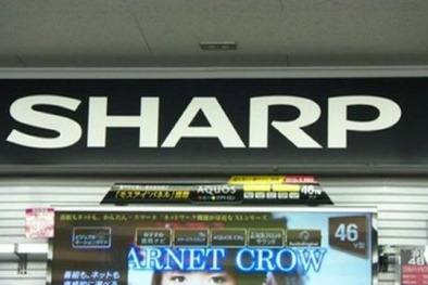 'Tượng đài' Sharp của Nhật đang sụp đổ như thế nào?