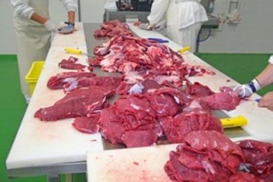 Đường dây buôn bán thịt nhiễm khuẩn xâm nhập thị trường Canada
