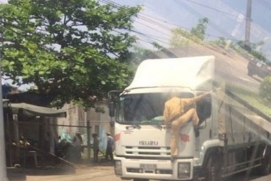 Hà Tĩnh: CSGT leo lên đầu xe để... ra tín hiệu cho tài xế
