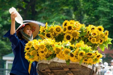 Dự báo thời tiết ngày mai 17/4/2015: Miền Bắc nắng oi dù bớt hanh khô