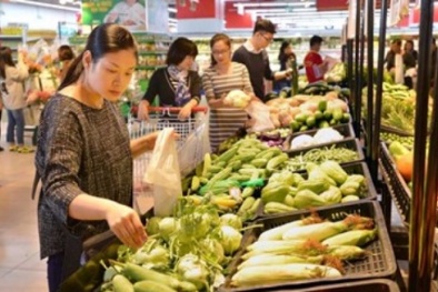 Vingroup rót 700 tỷ đồng trồng rau ở Vĩnh Phúc