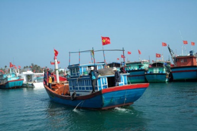 Kiên Giang: Xây dựng Trung tâm nghề cá lớn gắn với ngư trường Tây Nam Bộ
