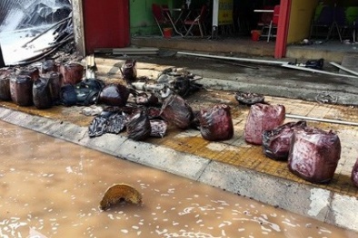 TP.HCM: Cháy nhà khiến hàng loạt thùng hóa chất phát nổ