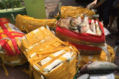 Bắt gần nửa tỷ hải sản lậu Trung Quốc tuồn vào Việt Nam