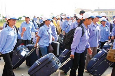 Tin vui mới cho người xuất khẩu lao động sang Hàn Quốc