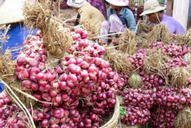 Hết dưa hấu đến lượt giải cứu hành tím Sóc Trăng