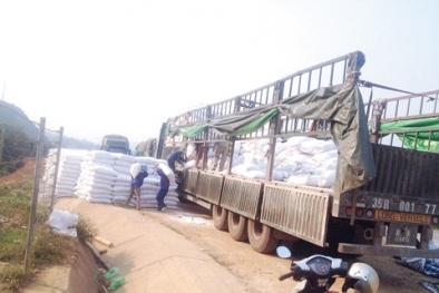 Chở quá tải, tài xế ngất xỉu khi nhận được biên lai