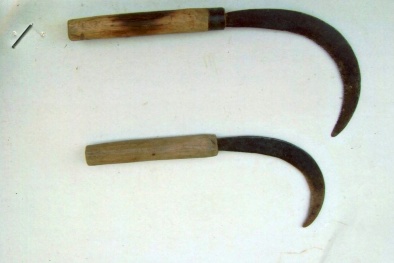 Nghi phạm cầm liềm cắt cổ hàng xóm vì thua bạc sa lưới 