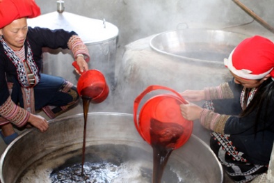 Thoát nghèo từ dịch vụ thuốc tắm của người Dao đỏ 