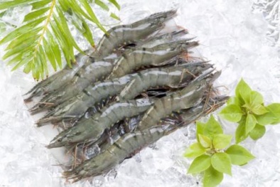 60% tôm đông lạnh bị nhiễm khuẩn