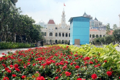 Tp. HCM: 40 camera giám sát xử phạt vi phạm trên phố đi bộ