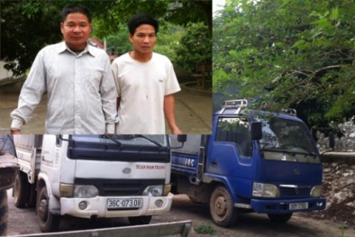 Bắt hai anh em ruột mang ô tô đi ăn trộm trâu bò