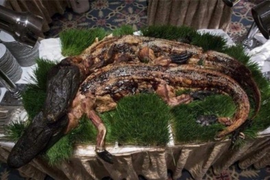 Chết ngất với những món khoái khẩu kinh dị của các đại gia