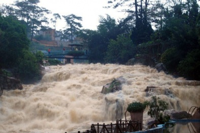 Đà Lạt: Quét sân sau cơn mưa một phụ nữ bị lũ cuốn trôi