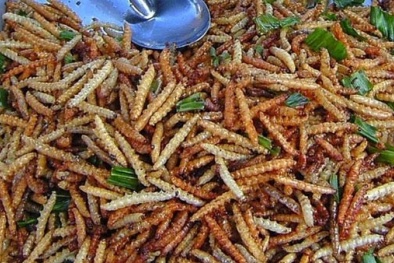 Suýt 'toi mạng' vì ăn sâu măng