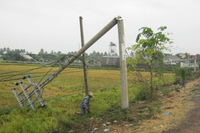 Dân Buôn Ma Thuột khổ sở vì gió lốc quật đổ hàng loạt cột điện