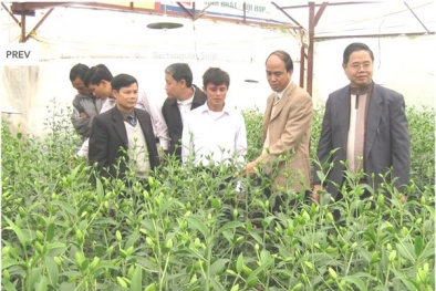 Tự chủ khoa học: Địa phương kêu khó