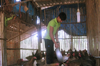 Kinh nghiệm kiếm 300 triệu một năm của vợ chồng nông dân trẻ