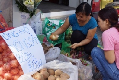 Sau chiến dịch ‘giải cứu’ dưa hấu, hành tím, đến lượt ‘giải cứu’ hành tây