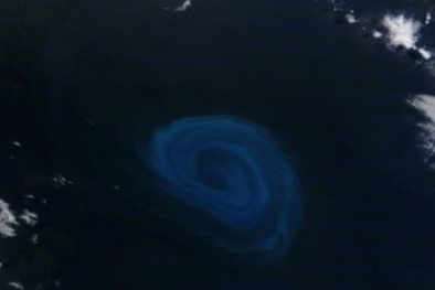 Vùng chết ở Đại Tây Dương, nơi sự sống không thể tồn tại 